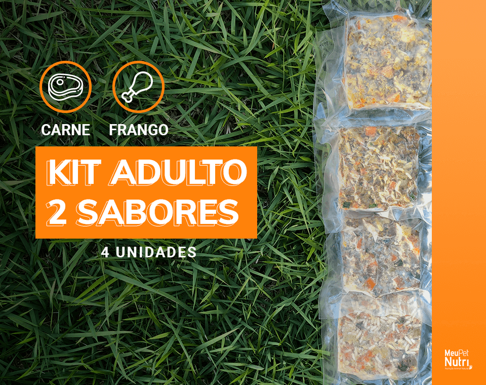 kit-adulto-4-unidades-2-sabores-cachorro